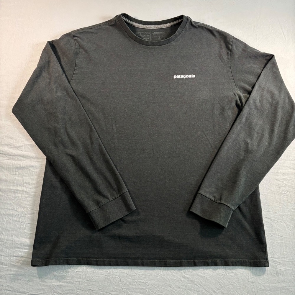 Patagonia Mens Responsibili-Tee Long Sleeve Wolf Mountain Graphic Gray Shirt M